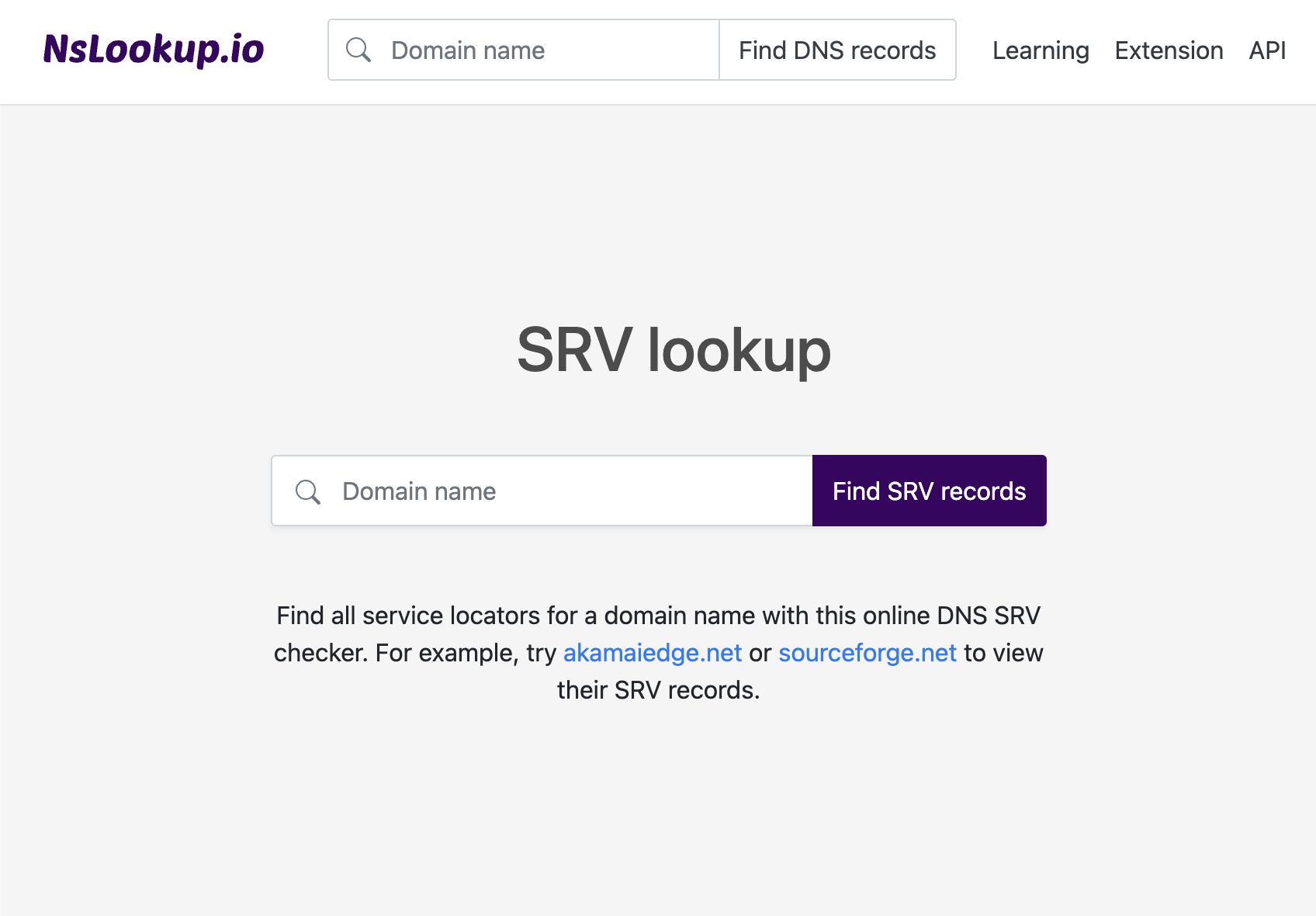 Open the SRV lookup tool