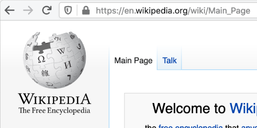 Visit the website you want to view the DNS records for